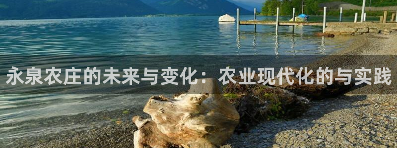 金年会能提款吗