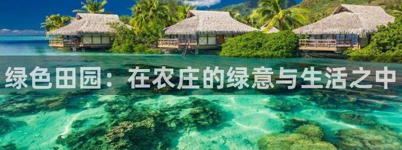 金年会拼音