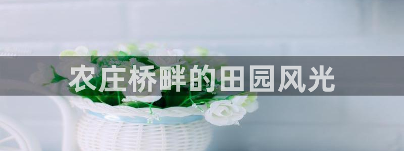 金年会是正规平台吗