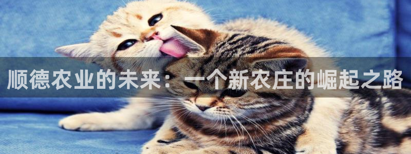 金年会官网