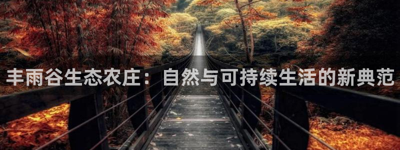 金联金年会