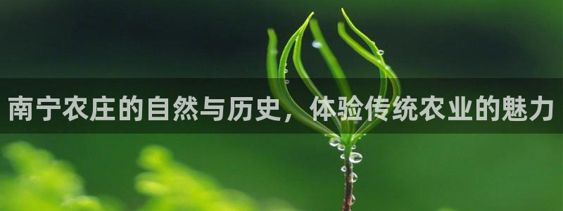 金年会体育官网