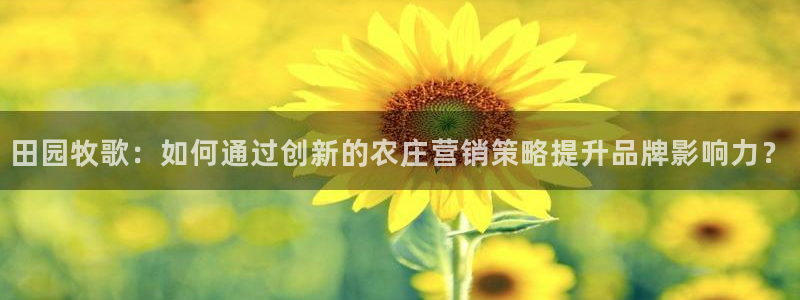 金实年会