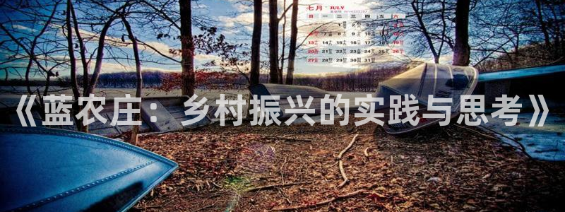 金年会体育app