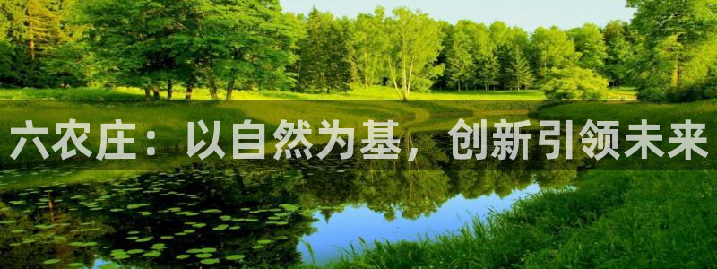 金哥年会