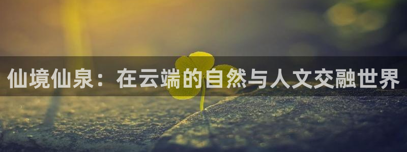 年会金
