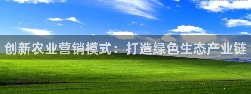 金年会APP安装下载