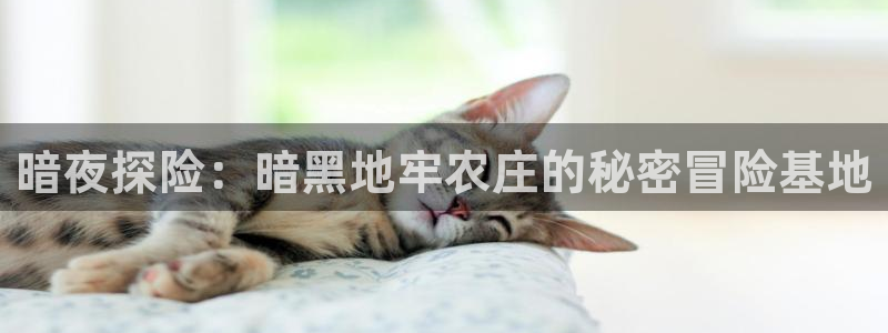 金年会官