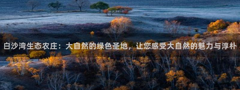 金年会官方客服电话