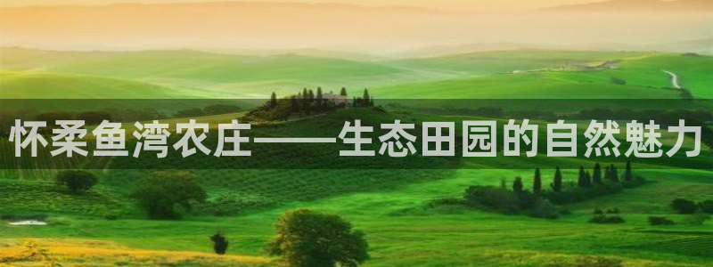 金年会手机版