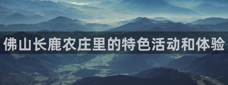 jinnian金年会