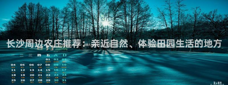 金年会官网