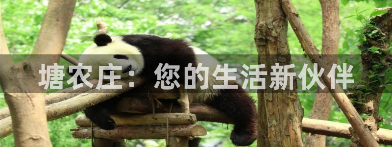 金年会手机app