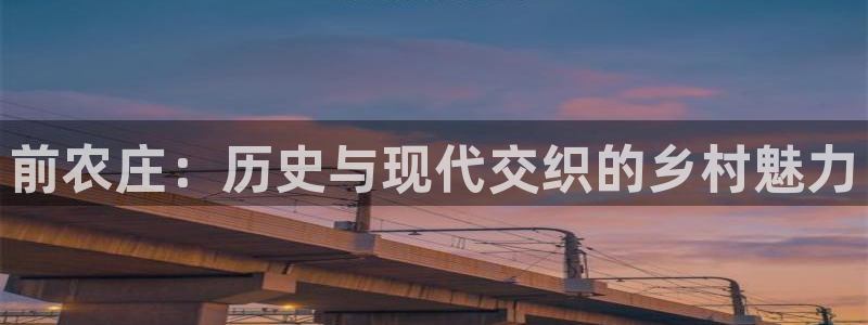金年会黑网