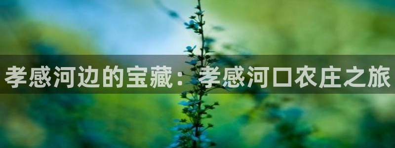 金年会彩票网址下载