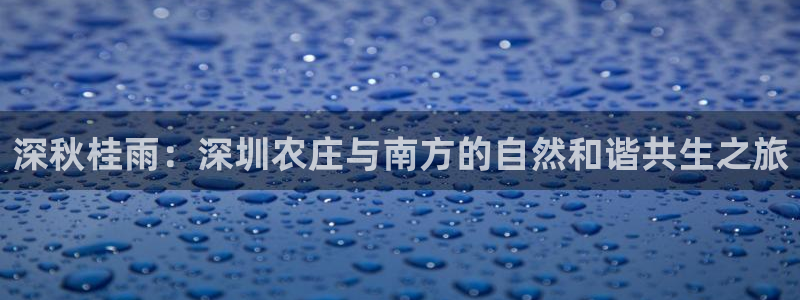 金年会入口网站