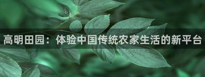 金年会平台是真的吗