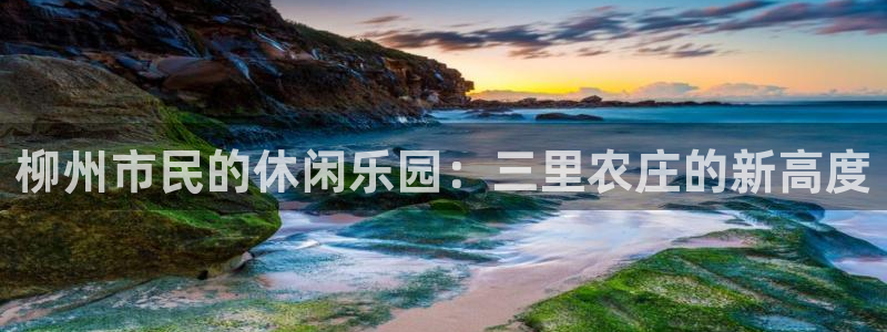 金年会下载官方