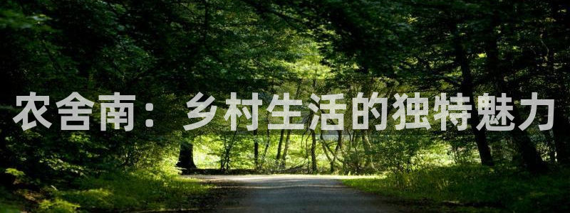 金年会app桌面