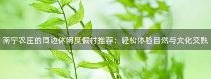 金齿科年会