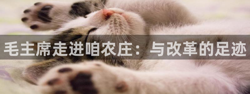 金年会金字招牌至上