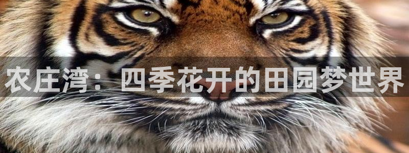 金雅陶瓷年会现场