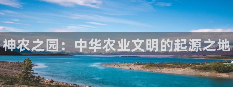 金年会体育