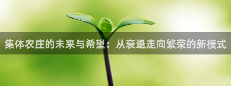 金科年会图片