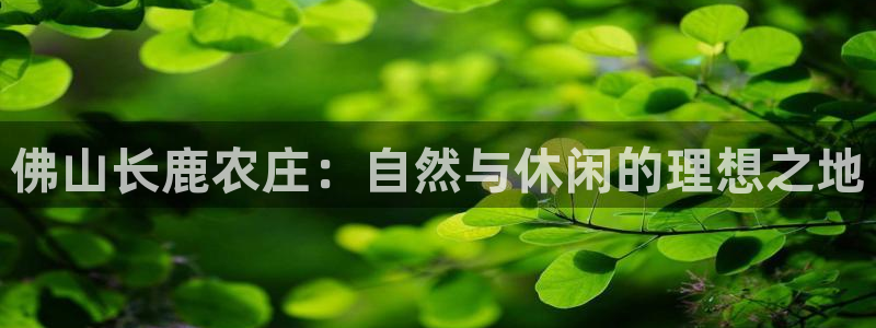 金年会体育金年会官网