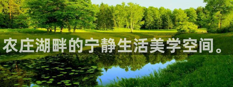 金年会信誉