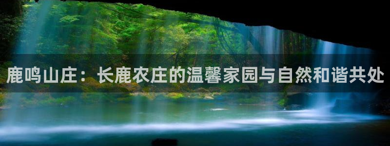 金年会体育下载