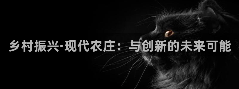 类似金年会