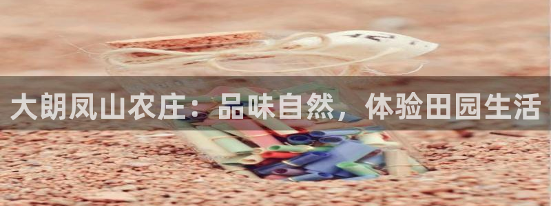 金年会官方客服电话