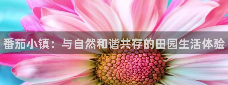金年会体育官方