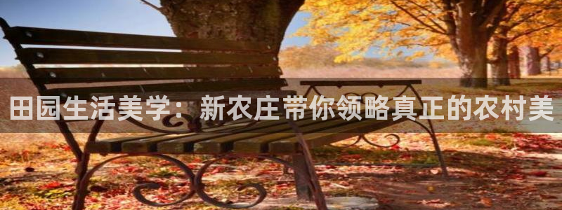 金靖年会