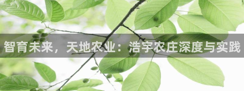 金年会平台是不是大台子
