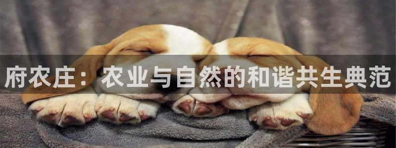 金年会金字招牌诚信至上