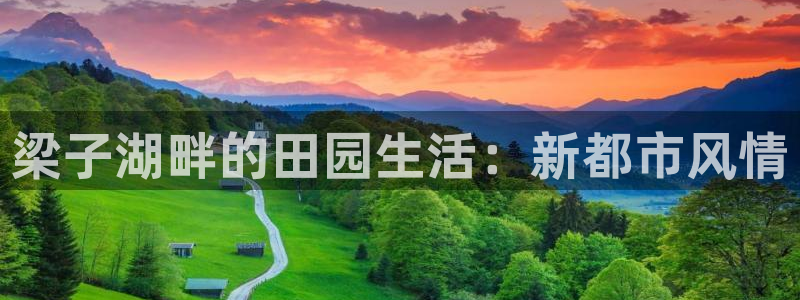 金年会官方网站入口