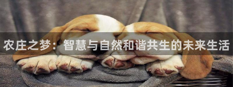 金年会登录入口