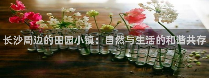 2022金年会
