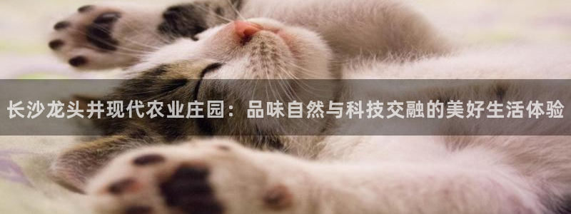 金年会6088070