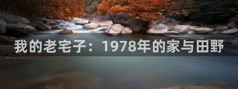 金年会体育官网在线