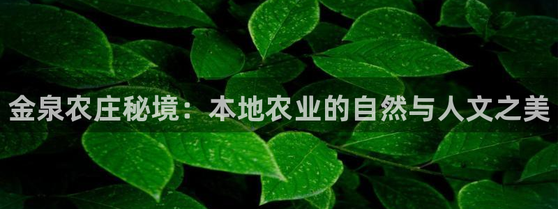 金年会