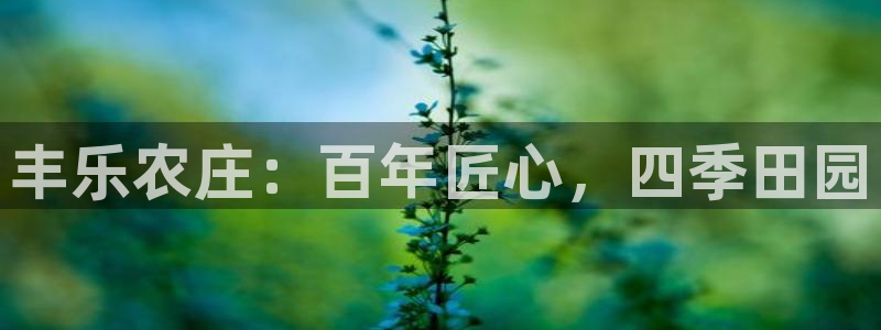 金年会官方网站下载