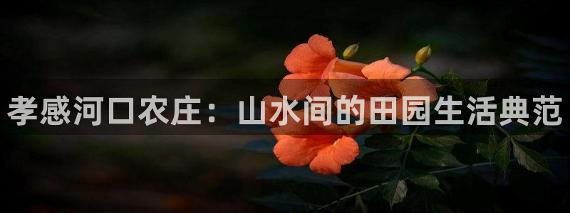 金升年会