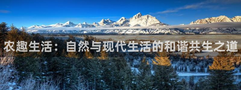 金齿科年会