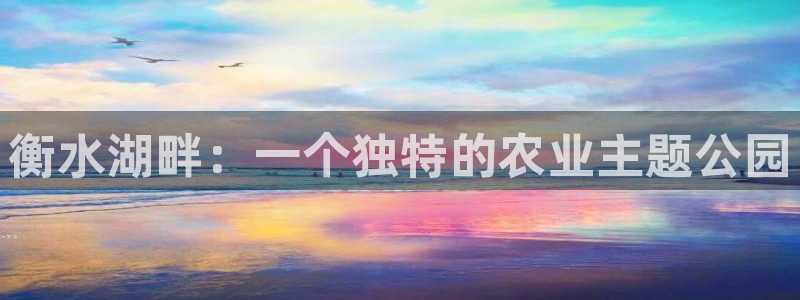 金年会金字招牌至上
