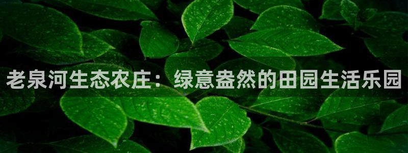 金年会娱乐提现