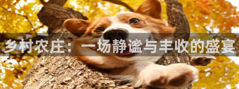 金年会 信誉至上