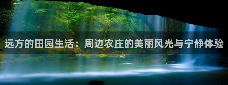 金年会活动策划